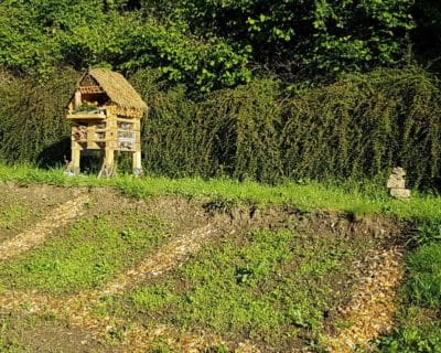 NL 06 2022 Blumenwiese erstes Gruen nachhaltigkeit bei addi,ökoprofit zertifizierung,auszeichnung addi,selter nachhaltig