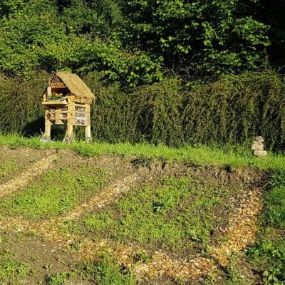 NL 06 2022 Blumenwiese erstes Gruen nachhaltigkeit bei addi,ökoprofit zertifizierung,auszeichnung addi,selter nachhaltig