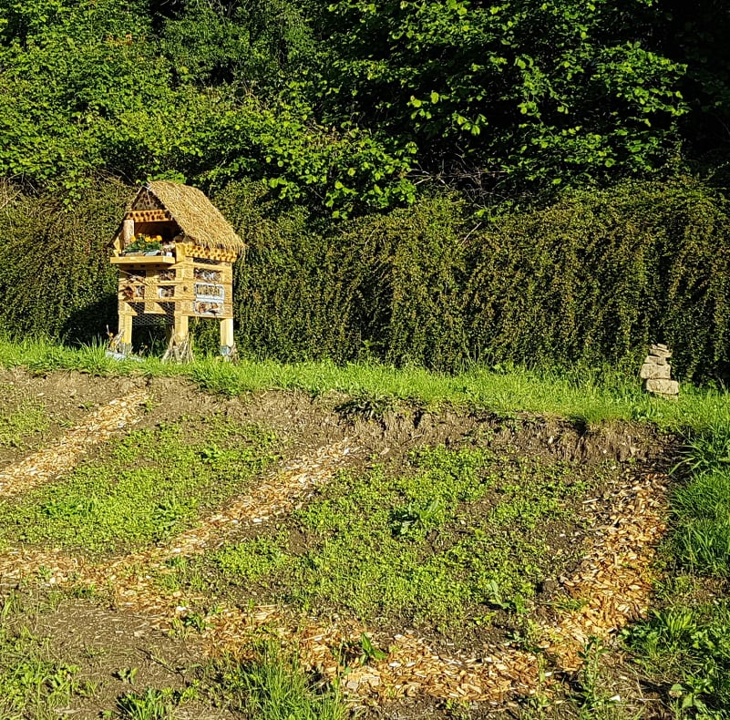 NL 06 2022 Blumenwiese erstes Gruen nachhaltigkeit bei addi,ökoprofit zertifizierung,auszeichnung addi,selter nachhaltig