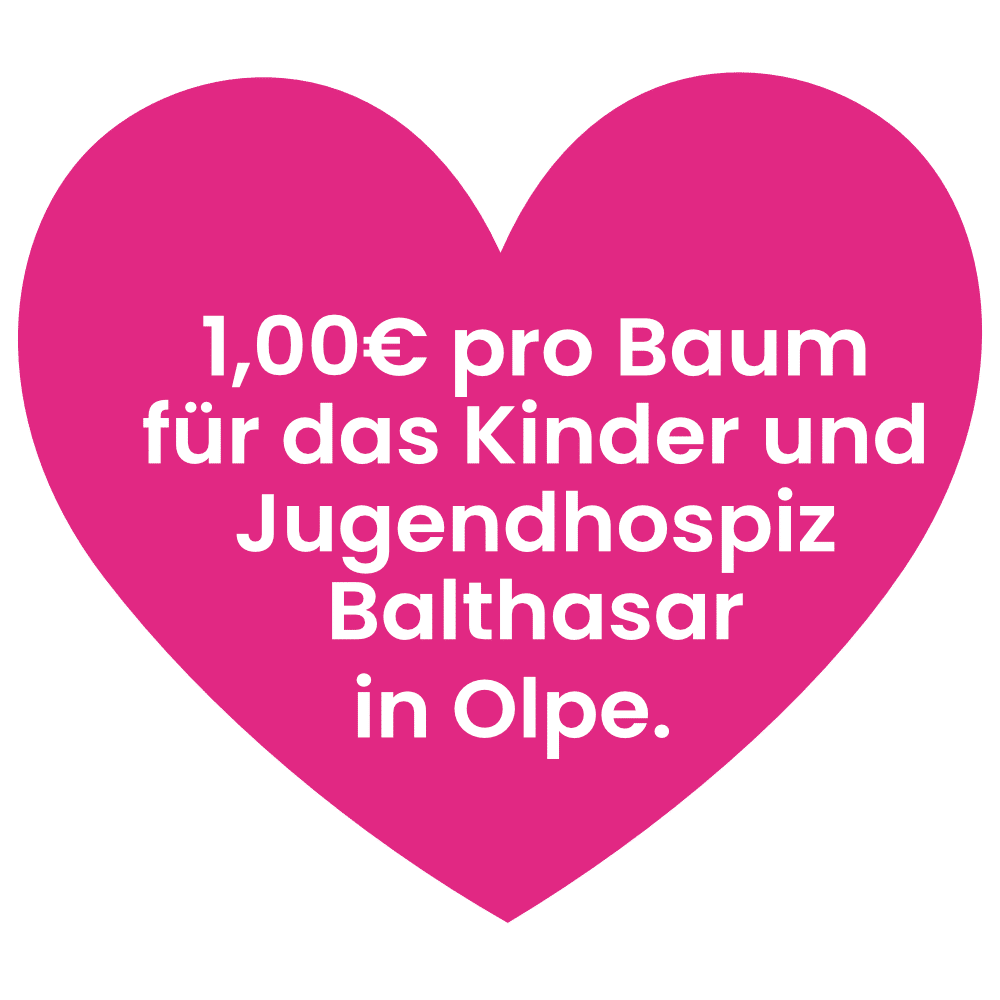 Herz Hospiz Scheckübergabe - Kinder- und Jugendhospiz Balthasar