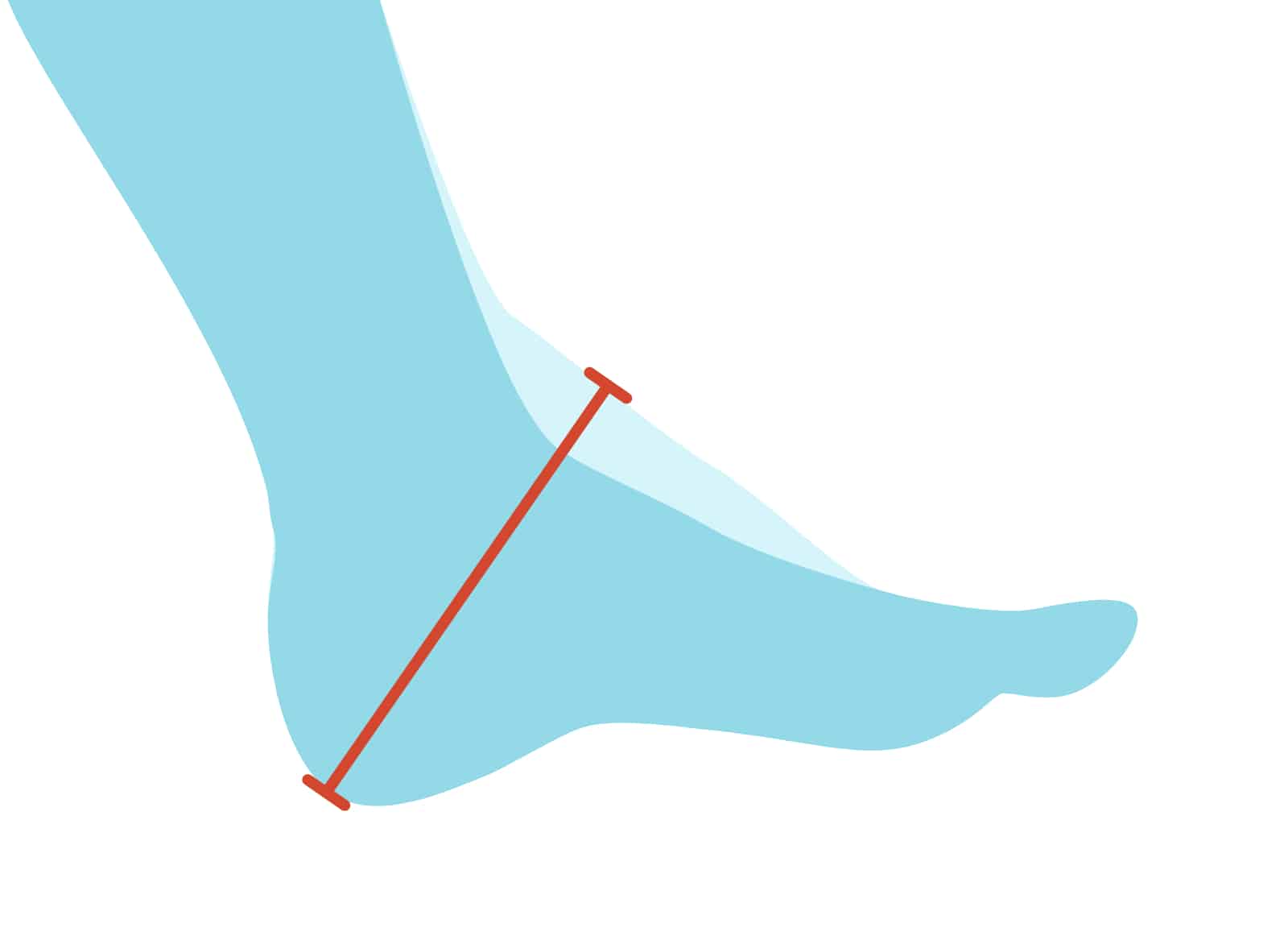 Which heel is the best for my foot? The foot instep