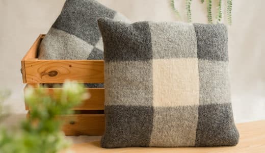 addiExpress Grundlagenbuch Kissen1 Geschenkideen