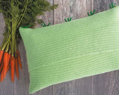 Carrot Cushion DE2 Carrot Cushion