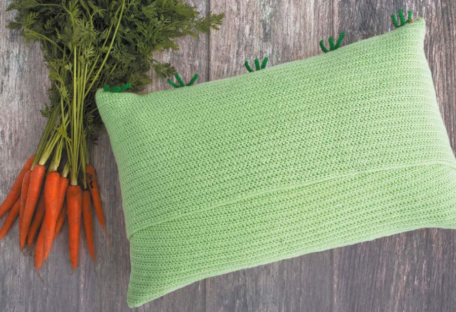 Carrot Cushion DE2 Carrot Cushion