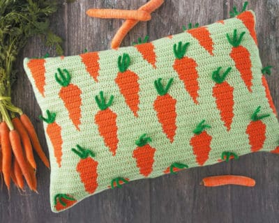 Carrot Cushion DE 34 Häkeln Fehler vermeiden