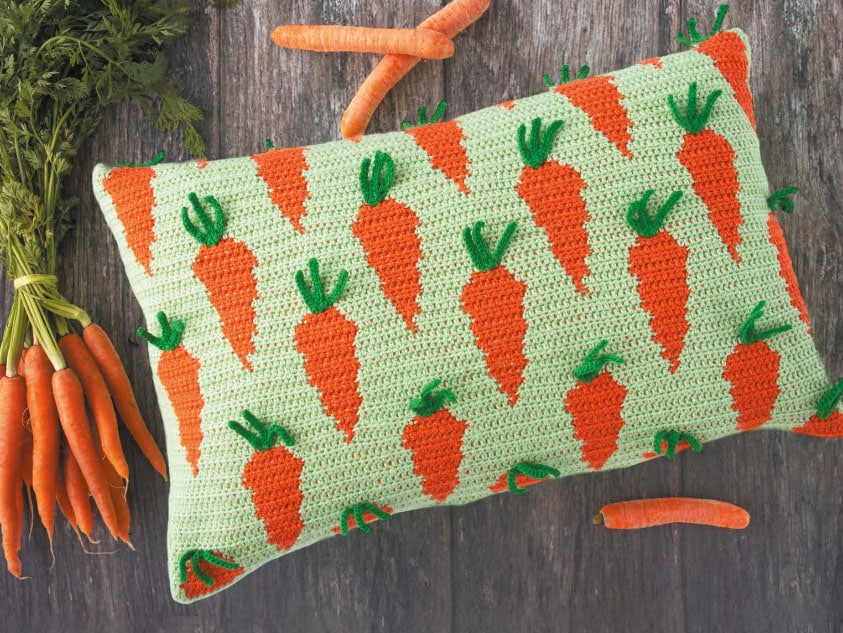 Carrot Cushion DE 34 Carrot Cushion